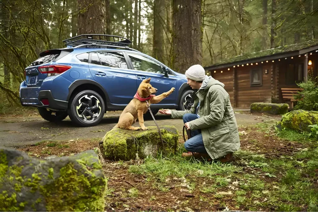 Subaru Outback harness