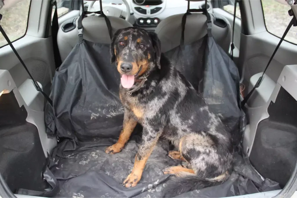 Jeep Wrangler dog seat cover